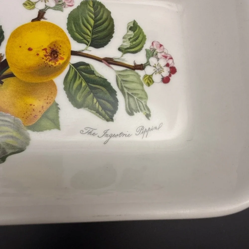 Vintage Portmeirion Pomona Rectangle Casserole Baker Pippin 9